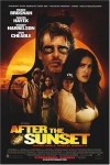 After the Sunset Movie Download