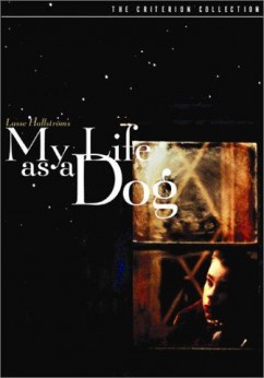Mitt liv som hund Movie Download