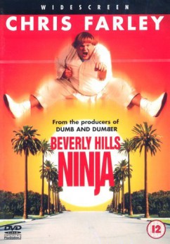 Beverly Hills Ninja Movie Download